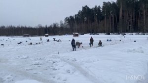 Ежедневный запуск