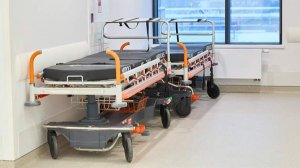 В домодедовской больнице выписали первого пациента с оспой обезьян