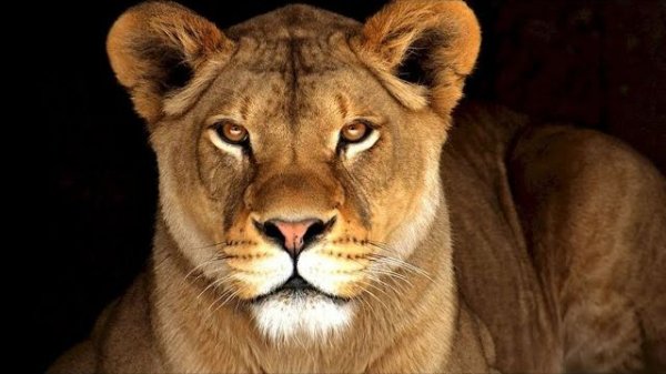 ОБСУДИМ ПАРУ ОСТРЫХ ТЕМ...эфир от 14 сент. 2025 г.