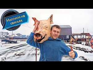 ‼️Забой  свиньи‼️ Белый Пьетрен-Макстер‼️ Йоркшир‼️Терминал‼️