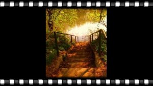 Лестницы, из разных уголков, земли !