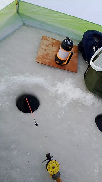 1000006025.mp4 смотреть онлайн