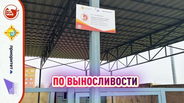 Калмыцкая порода КРС мраморное мясо