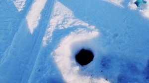 Окунь с глубины на течение р.Свирь