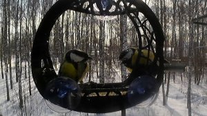 Пожелал приятного аппетита?