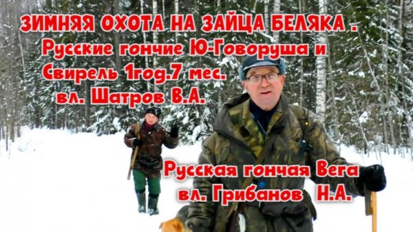 ЗИМНЯЯ ОХОТА НА ЗАЙЦА БЕЛЯКА, ч. Говоруша и Свирель 1г. 7 мес. вл. Шатров В.А.#охота #топ #hunting
