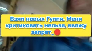 Взял новых Гуппи. Меня критиковать нельзя, ввожу запрет_🛑