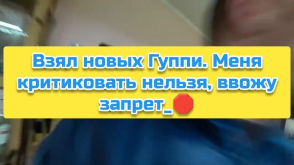 Взял новых Гуппи. Меня критиковать нельзя, ввожу запрет_🛑