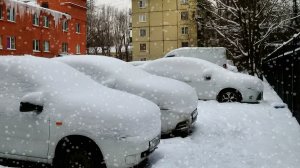 Снежный понедельник