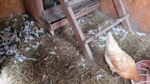 Призрачно всё