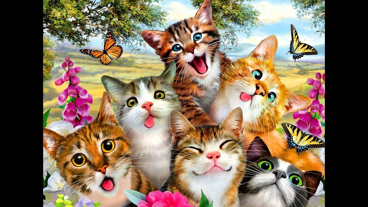 Кошки и коты