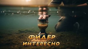 Рыбалка прикормка.