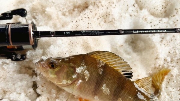 МОРМЫШИНГ с Dayo limerence!  ВО ВСЕ ТЯЖКИЕ! Зимний Мормышинг