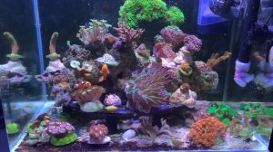 Замена термопасты в Радионе.