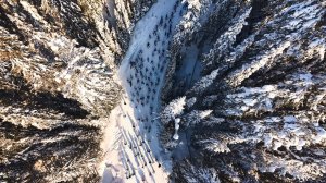 «Лыжня России» объединила 16 тысяч югорчан