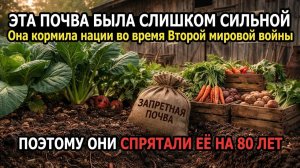 6 почвенных секретов времён Второй мировой войны, о которых корпорации молились, чтобы вы