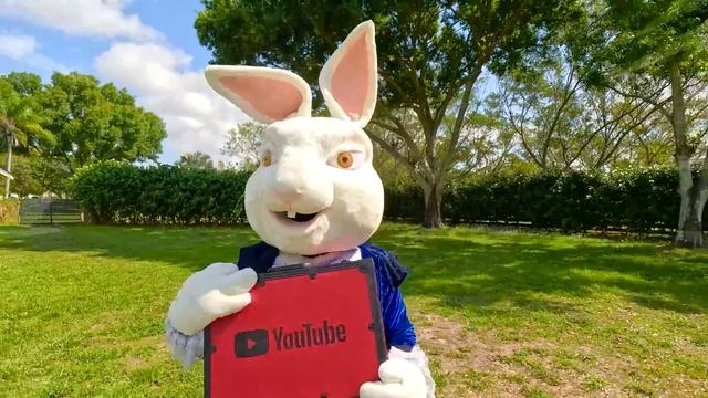 Настя и картонный отель смотреть онлайн