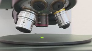 Научная школа САФУ: от фундаментальной физики к технологиям