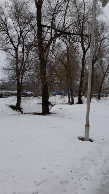 Задонск. Городской парк. смотреть онлайн