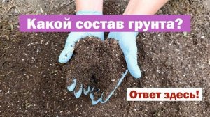 ПРОСТОЙ РЕЦЕПТ плодородного грунта для метельчатой гортензии: КАК Я ЕГО ЗАМЕШИВАЮ?