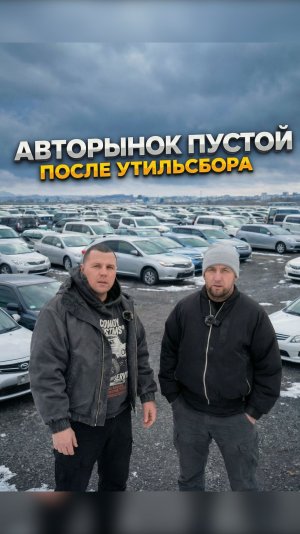 Что происходит с авторынком Владивостока в 2026 году? Авторынок Зеленый | Авторынок на Подгороденке