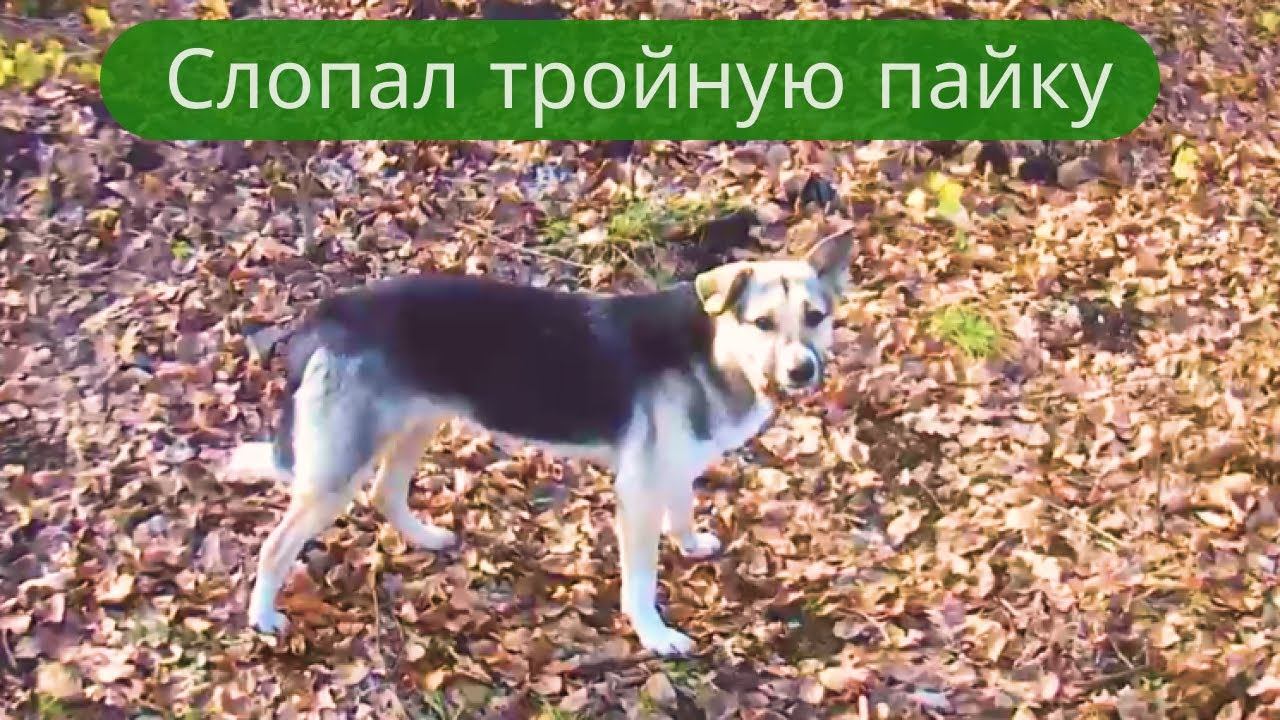 ✔ Спали, что-ли, где-то?✔