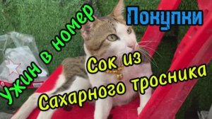 Сок из сахарного тростника! Покупки! Ужин в номер! Тайланд 2026 февраль