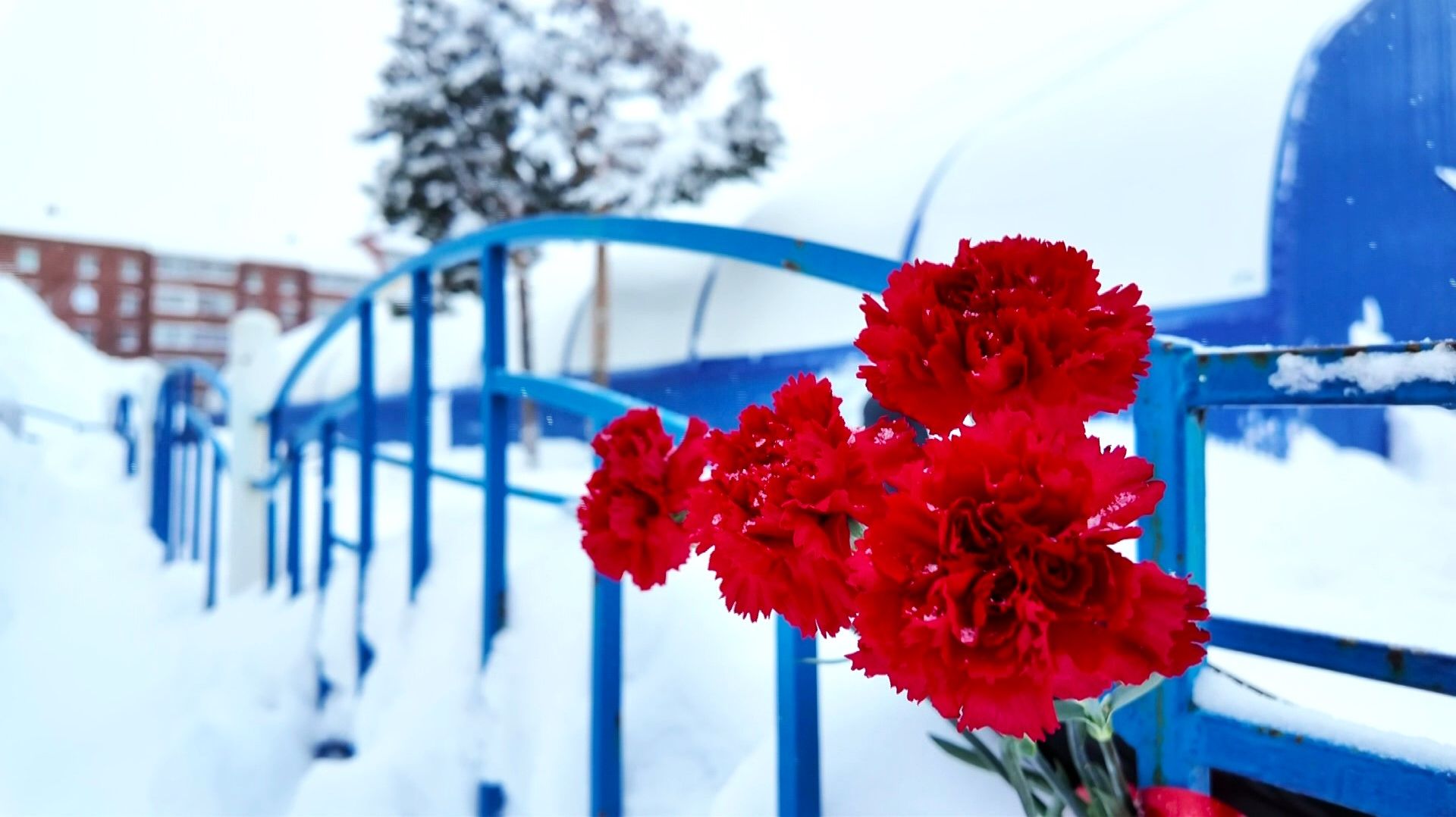 Жители Лянтора несут цветы и игрушки к хоккейному корту, где произошла трагедия смотреть онлайн