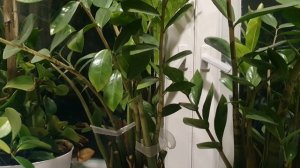 Лечу туда...