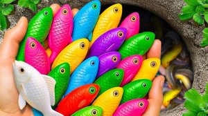 МУЛЬТИКИ ДЛЯ ДЕТЕЙ: ПОЙМАЛИ ГОЛУБЫХ ГУППИ ЛЯГУШЕК И ГОЛОВАНОВ СИНИЙ ТРАКТОР