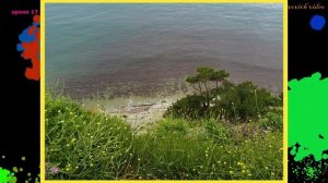 vovich АРХИВ часть 17.