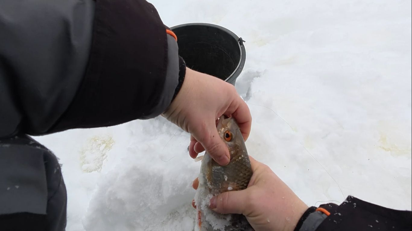 Ловим Крупную Плотву На Секретные Снасти смотреть онлайн