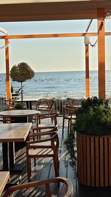 Немного моря и тепла вам в этот холодный февральский денёк #рек #море #отпуск #природа #адлер #краси