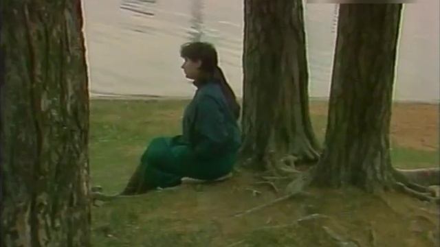 Татьяна Анциферова - Не забудь меня смотреть онлайн