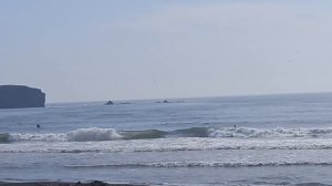 Мое летнее путешествие по Сахалину. Серфингисты в бухте Тихая