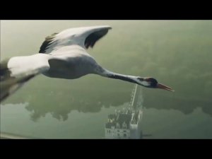 И в аду возможен рай.  И осень может стать весной.  (Ефрем Амирамов)