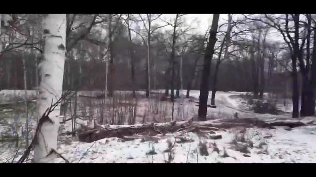 похищенный для леса ЧАСТЬ 34