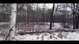 похищенный для леса ЧАСТЬ 34