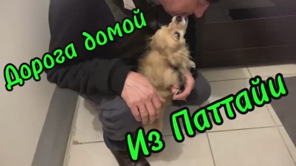 Дорога домой из Паттайи!Тайланд 2026 февраль