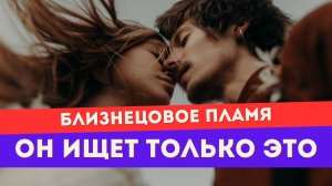 Слова убегающего близнеца. Как он ощущает твое внутреннее единство