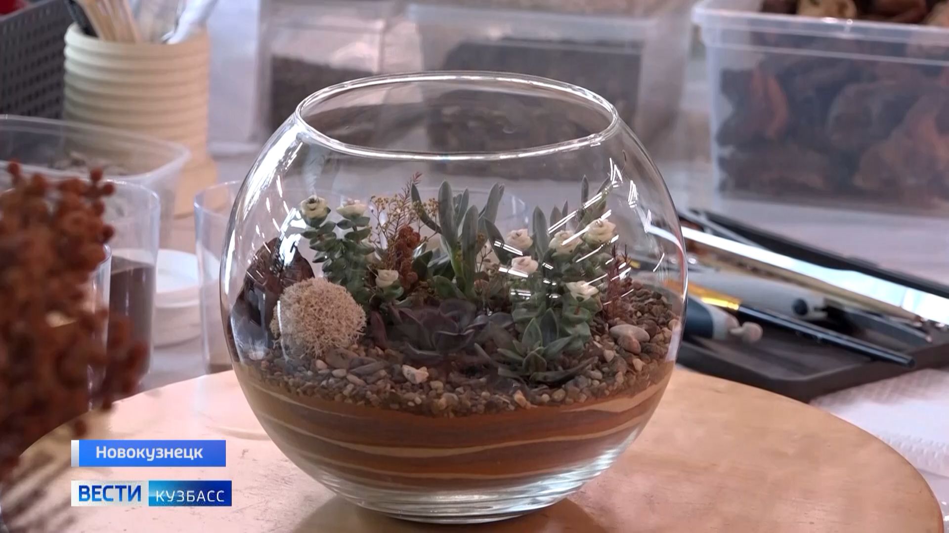 Флорист рассказала кузбассовцам, как сделать оригинальный подарок своими руками смотреть онлайн