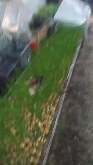 Всем привет. Все, я в Пензе Слава Богу доехал все норм. На обратном пути только с аэропорта выеха...