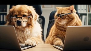 Диалог—«Кто тут senior».