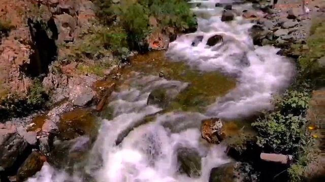 Путешествие по Горному Алтаю