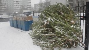 Жаль мне ёлок новогодних. Чиллвэйв 2в 2дб - стихи Виктора Левашова, Ярославль.