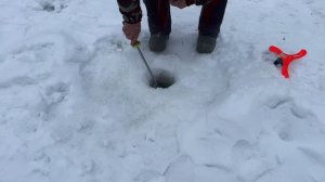 Запуск от 16.02.26