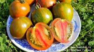 🎀Помидоры Сердечко с Сюрпризом — Coeur de Surpriz🎀 Супер-новинка 2021 в Экзотической Комнате 🎀