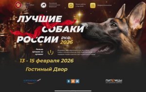 ЛУЧШИЕ СОБАКИ РОССИИ / BEST DOGS RUSSIA 13-15.02.2026