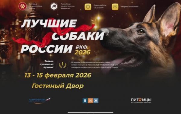ЛУЧШИЕ СОБАКИ РОССИИ / BEST DOGS RUSSIA 13-15.02.2026