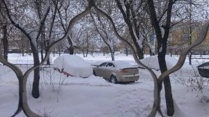 С началом Масленичной недели!